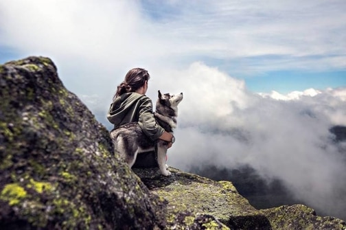 Una Bellissima Lettera D Amore Animal Care